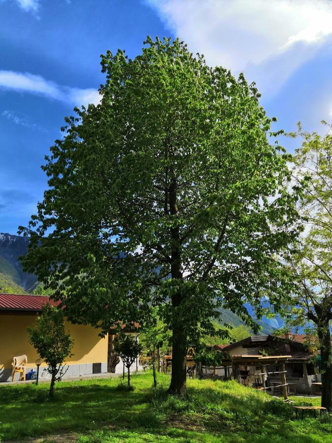 Agriturismo Val Codera Verceia Exterior photo